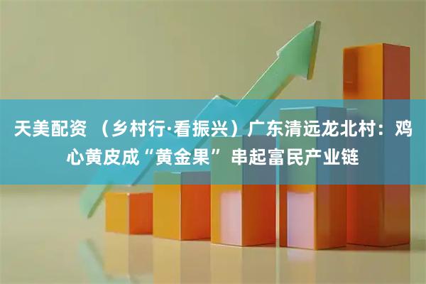 天美配资 （乡村行·看振兴）广东清远龙北村：鸡心黄皮成“黄金果” 串起富民产业链